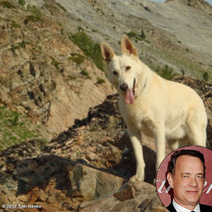 Tom Hanks Tom Hanks